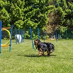 Holiday home Morskie Dog Friendly