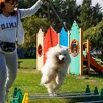 Holiday home Morskie Dog Friendly