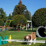 Holiday home Morskie Dog Friendly