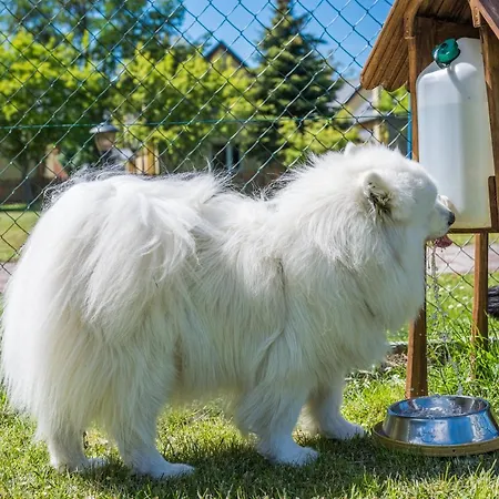 Morskie Dog Friendly Сasa de vacaciones Jantar