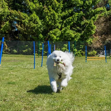 Сasa de vacaciones Morskie Dog Friendly