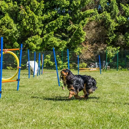 Casa vacanze Morskie Dog Friendly