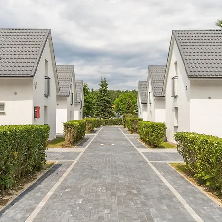 Morskie Dog Frindly *