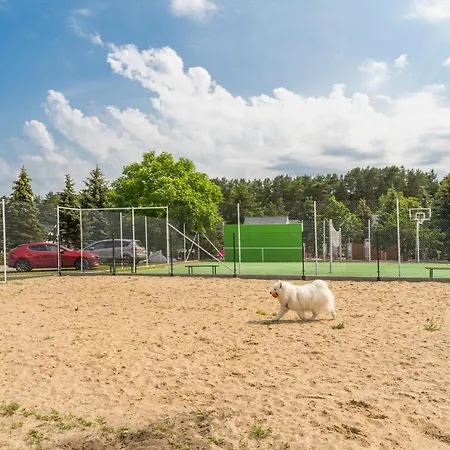 Morskie Dog Frindly Jantar