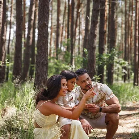 Morskie Dog Friendly *