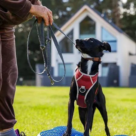 Morskie Dog Friendly Сasa de vacaciones