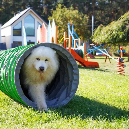 Σπίτι διακοπών Morskie Dog Friendly *