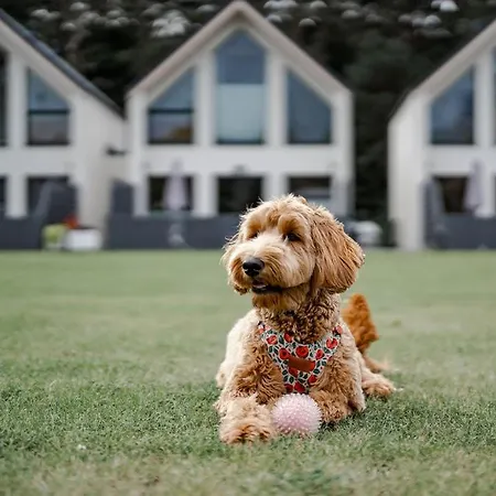 Casa vacanze Morskie Dog Friendly Jantar