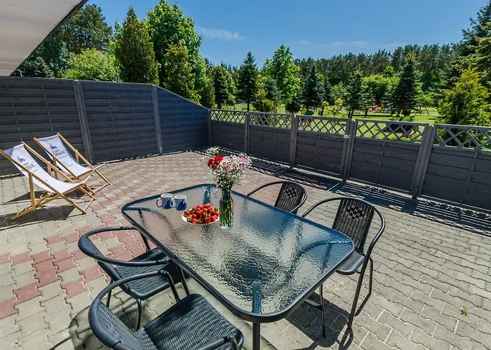 Morskie Dog Frindly Jantar