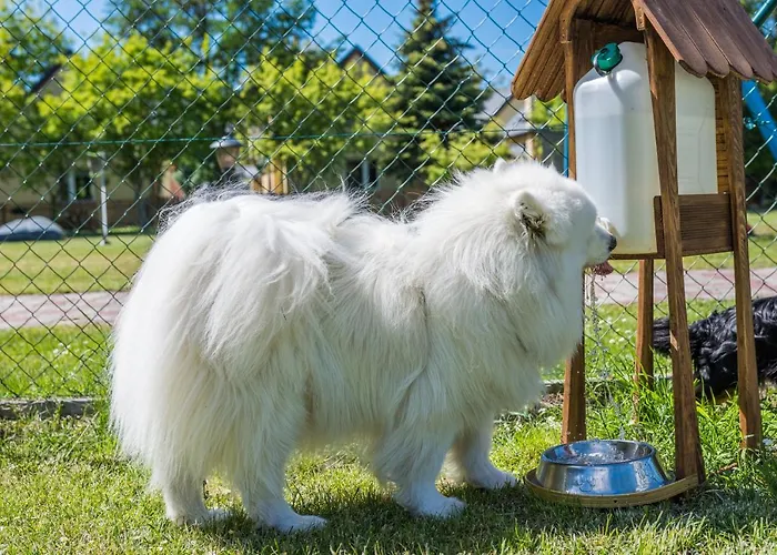 Morskie Dog Friendly 別荘 ヤンタル