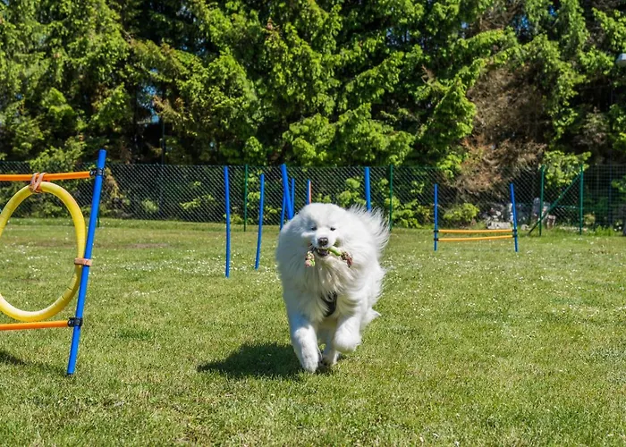 別荘 Morskie Dog Friendly