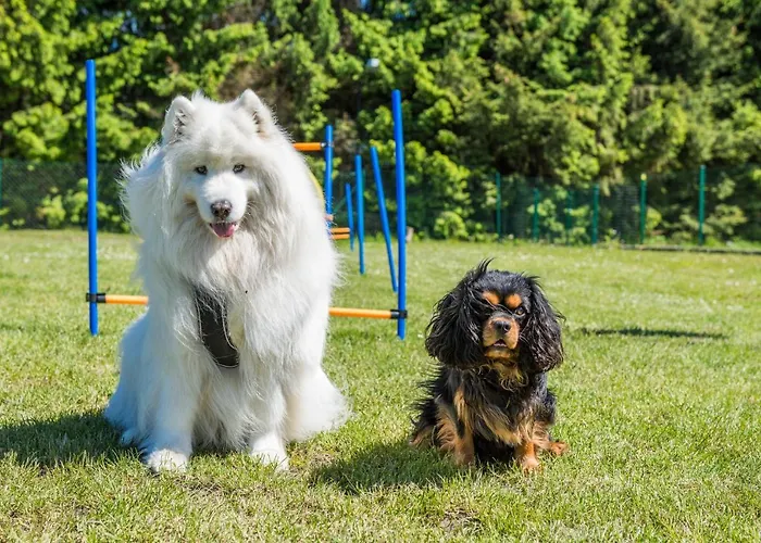 Morskie Dog Friendly 別荘 ヤンタル