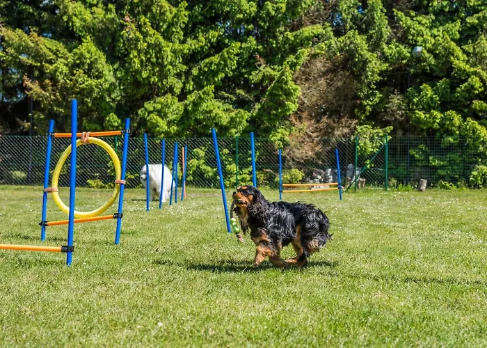 Dom wakacyjny Morskie Dog Frindly