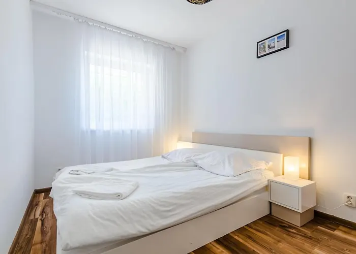 Morskie Dog Friendly *