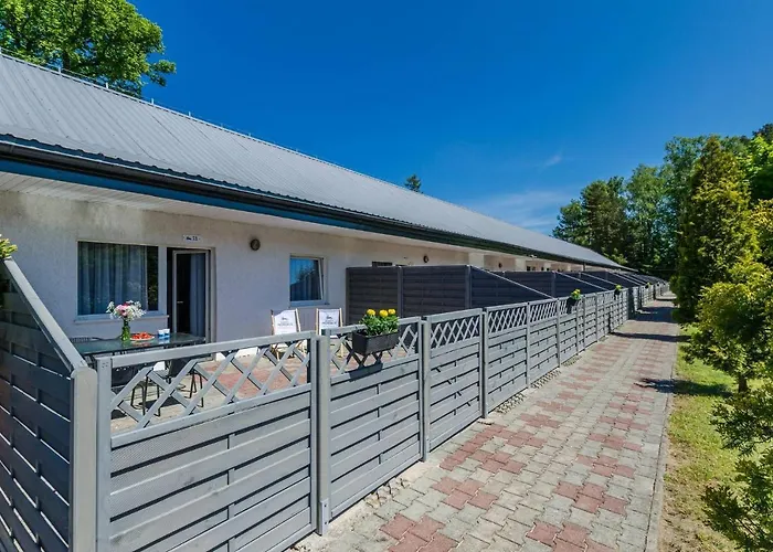 Morskie Dog Friendly