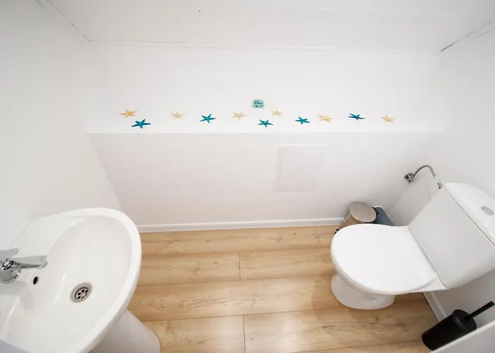 Morskie Dog Friendly