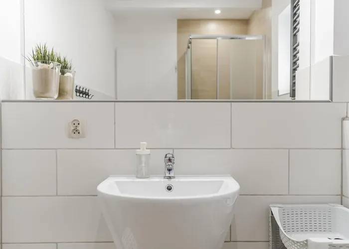 Morskie Dog Friendly ヤンタル