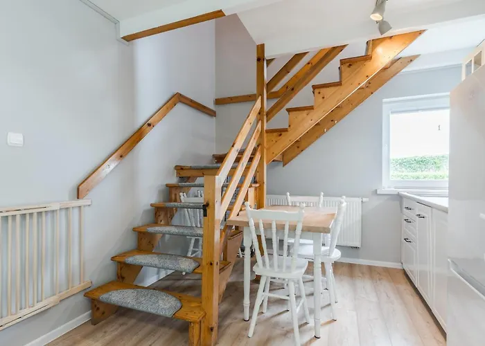 Morskie Dog Frindly Jantar