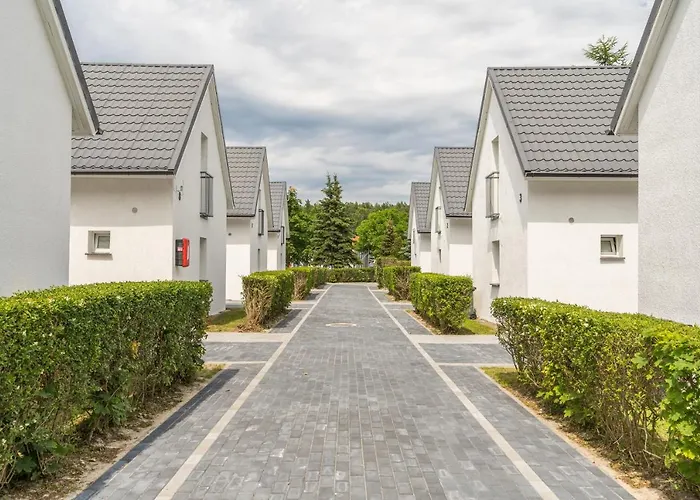 Morskie Dog Frindly *