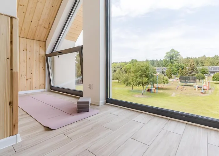 Morskie Dog Frindly Jantar