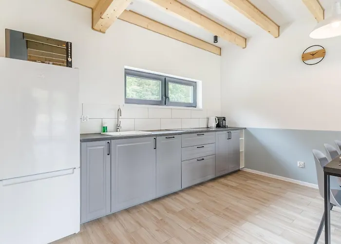 Morskie Dog Frindly *