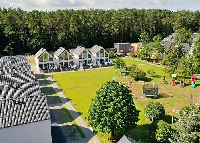 Morskie Dog Frindly Jantar