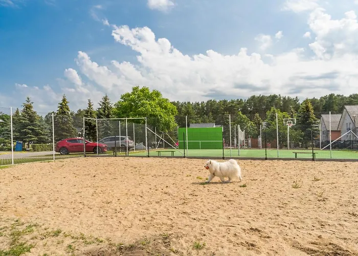 Morskie Dog Frindly Jantar