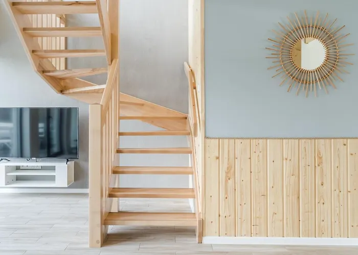 Morskie Dog Frindly Jantar