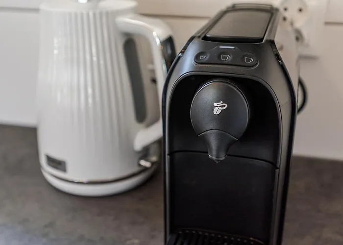 Morskie Dog Frindly *