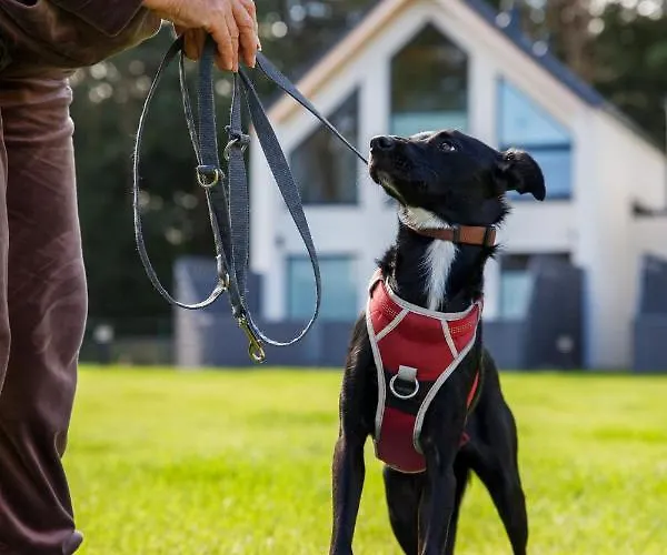 Morskie Dog Friendly 別荘