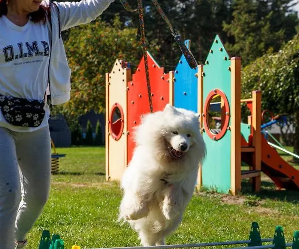 別荘 Morskie Dog Friendly