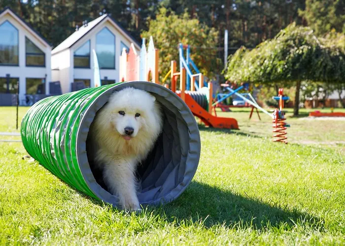 Dom wakacyjny Morskie Dog Frindly *