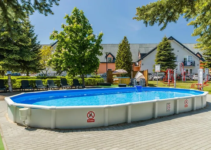 Morskie Dog Frindly * Jantar