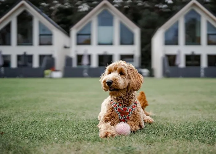 別荘 Morskie Dog Friendly ヤンタル